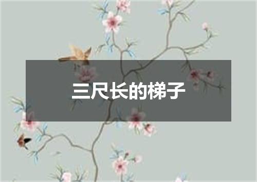 三尺长的梯子
