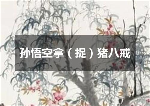 孙悟空拿（捉）猪八戒