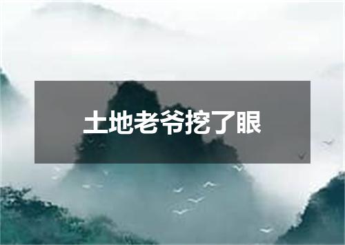 土地老爷挖了眼