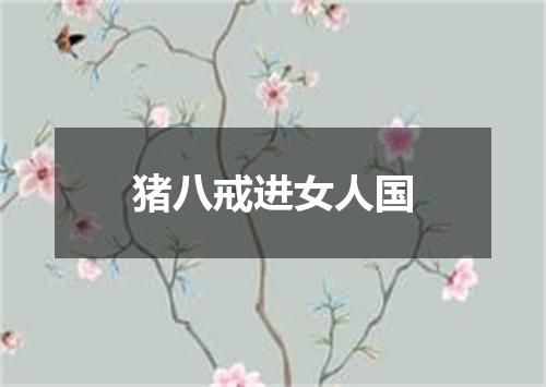 猪八戒进女人国