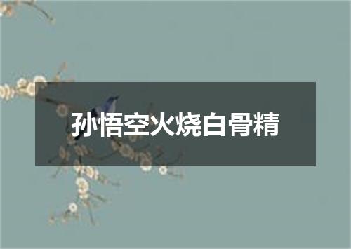 孙悟空火烧白骨精