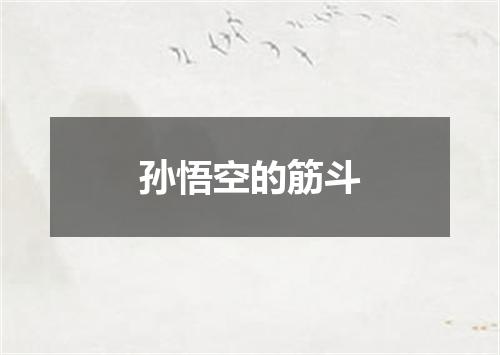 孙悟空的筋斗