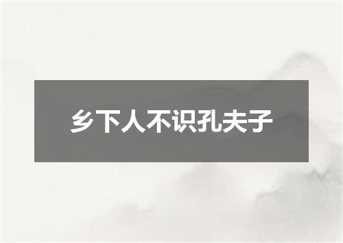 乡下人不识孔夫子