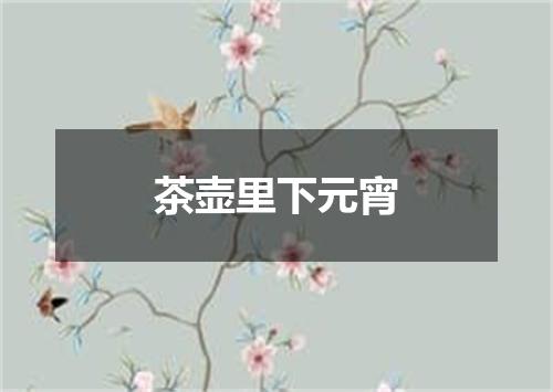 茶壶里下元宵