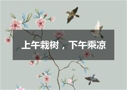 上午栽树，下午乘凉
