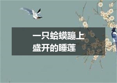 一只蛤蟆蹦上盛开的睡莲