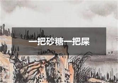 一把砂糖一把屎