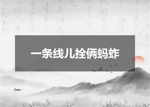 一条线儿拴俩蚂蚱