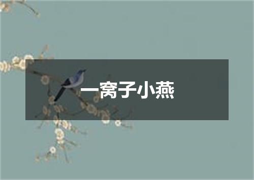 一窝子小燕