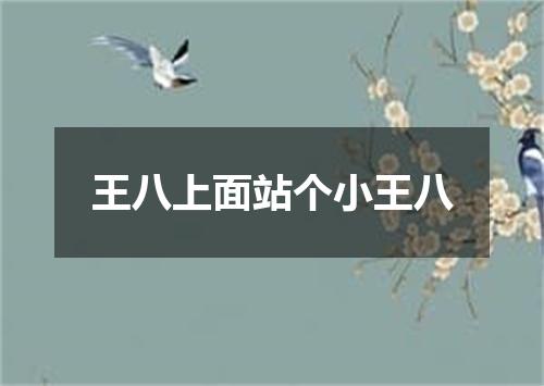 王八上面站个小王八