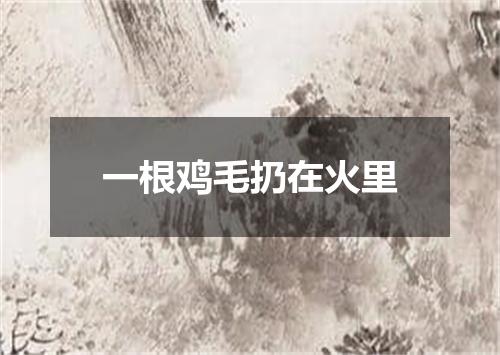 一根鸡毛扔在火里