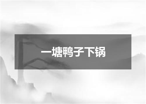 一塘鸭子下锅