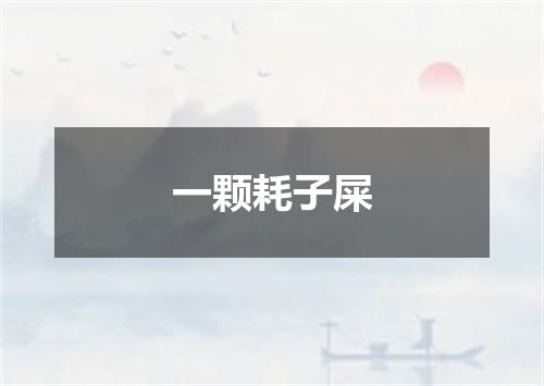 一颗耗子屎
