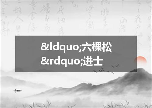 “六棵松”进士
