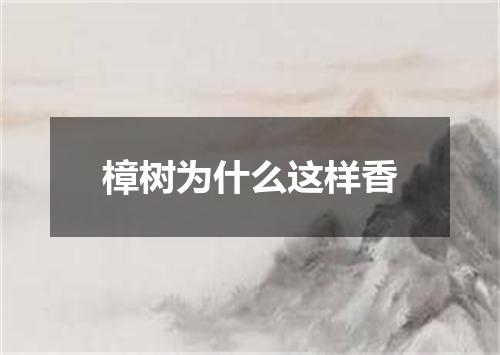 樟树为什么这样香
