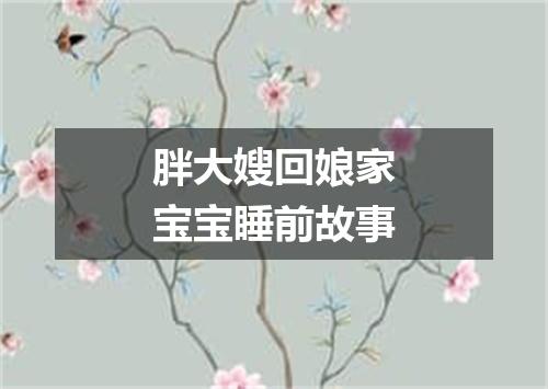 胖大嫂回娘家宝宝睡前故事
