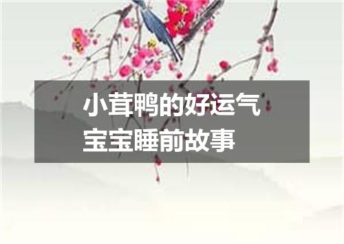 小茸鸭的好运气宝宝睡前故事