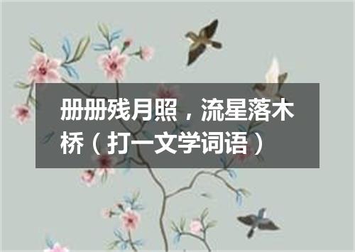 册册残月照，流星落木桥（打一文学词语）