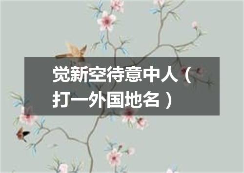 觉新空待意中人（打一外国地名）