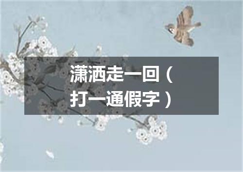 潇洒走一回（打一通假字）