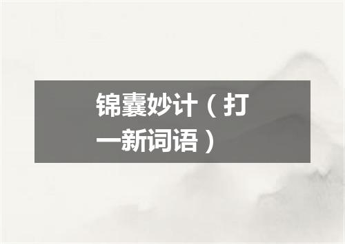 锦囊妙计（打一新词语）