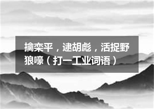 擒栾平，逮胡彪，活捉野狼嚎（打一工业词语）