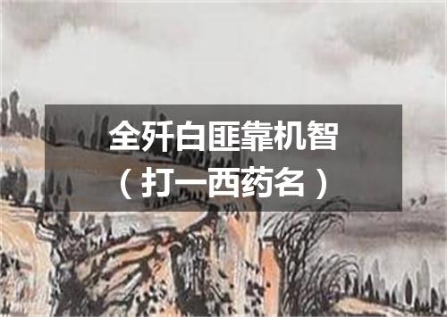 全歼白匪靠机智（打一西药名）