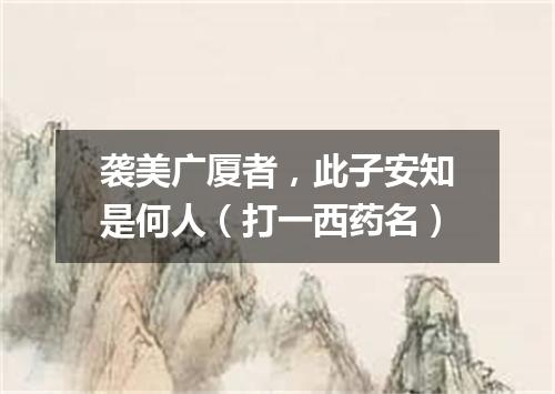 袭美广厦者，此子安知是何人（打一西药名）