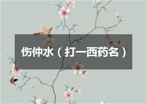 伤仲水（打一西药名）