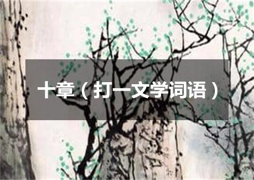 十章（打一文学词语）