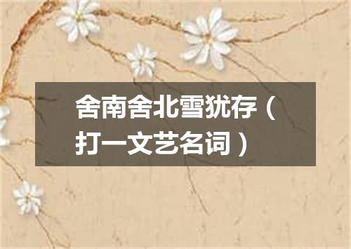 舍南舍北雪犹存（打一文艺名词）
