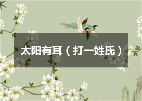 太阳有耳（打一姓氏）