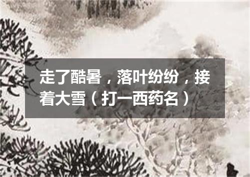 走了酷暑，落叶纷纷，接着大雪（打一西药名）