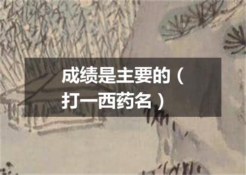 成绩是主要的（打一西药名）