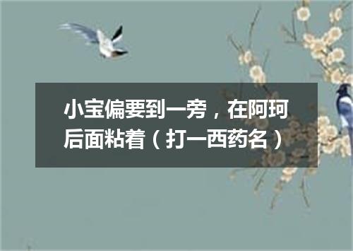 小宝偏要到一旁，在阿珂后面粘着（打一西药名）