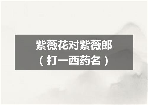 紫薇花对紫薇郎（打一西药名）