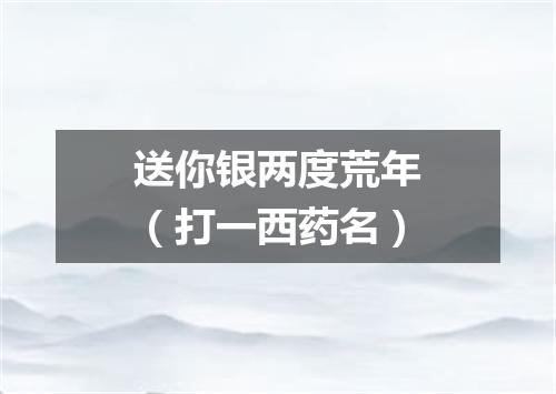 送你银两度荒年（打一西药名）