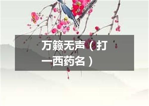 万籁无声（打一西药名）