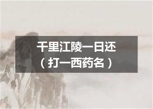 千里江陵一日还（打一西药名）