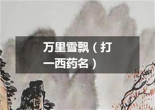 万里雪飘（打一西药名）