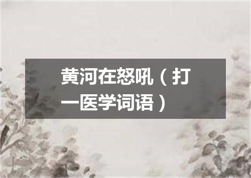 黄河在怒吼（打一医学词语）