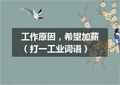 工作原因，希望加薪（打一工业词语）