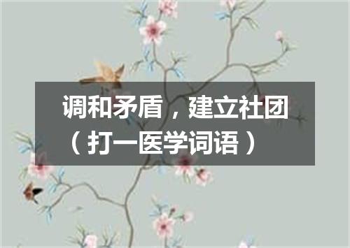 调和矛盾，建立社团（打一医学词语）