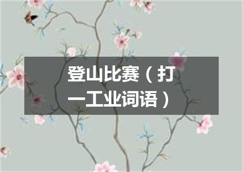 登山比赛（打一工业词语）