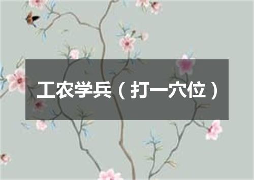工农学兵（打一穴位）