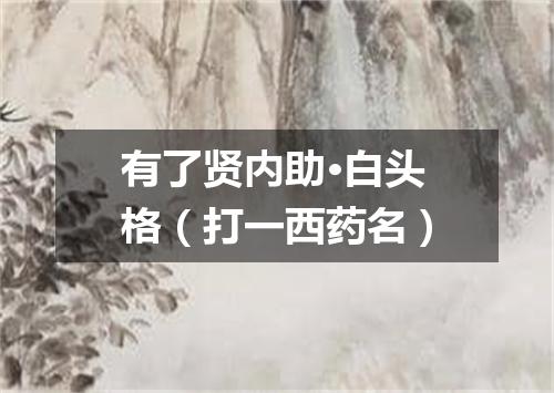 有了贤内助·白头格（打一西药名）