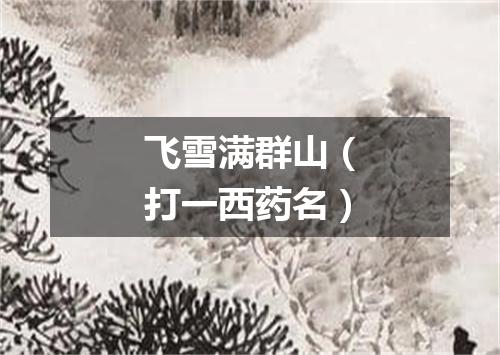 飞雪满群山（打一西药名）