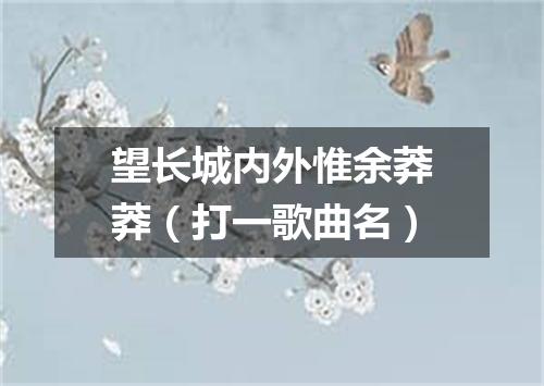 望长城内外惟余莽莽（打一歌曲名）