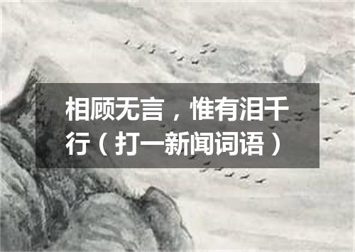 相顾无言，惟有泪千行（打一新闻词语）