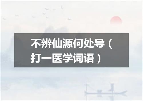 不辨仙源何处导（打一医学词语）